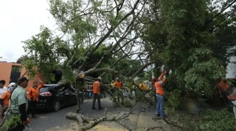 lluvias, el salvador, tormenta, tropical, julia