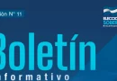 boletín, informativo, cse, undécimo, elecciones, nicaragua