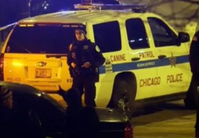 tiroteo, estados unidos, violencia, muerto, heridos