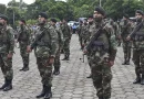 ejercito nicaragua, ciclo productivo, cosecha cafetalera,