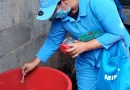 minsa, bti, fumigacion, managua, nicaragua, ministerio de salud, dengue, barrio farabundo marti,