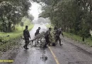 ejercito nicaragua, arboles caidos, matagalpa,