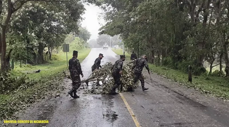 ejercito nicaragua, arboles caidos, matagalpa,