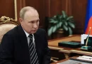 putin, rusia, ucrania, presidente de rudia, nazis, neonazis,