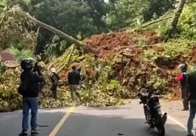 terremoto, indonesia, tragedia, video, java, muertos