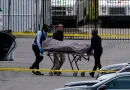 noticias, arma, fuego, estado, unidos, muertes