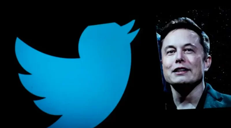 elon, musk, twitter, cuentas, suspendidas, bloqueadas, encuesta, estados, unidos