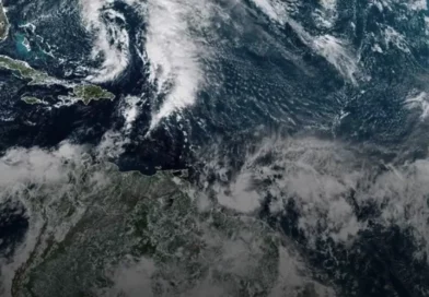 nicole, clima, florida, estados, unidos, tormenta, emergencia