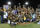 béisbol, profesional, leones, boer, tigres, canal 4