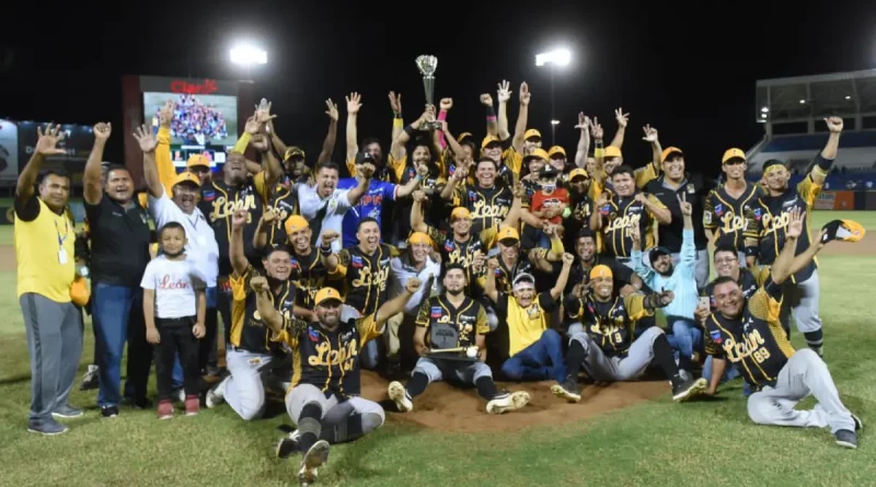 béisbol, profesional, leones, boer, tigres, canal 4