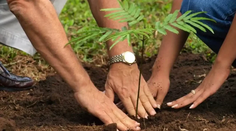 reforestacion, huracanes, nicaragua, ivan acosta,