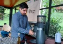 taza, excelencia, nicaragua, certame, cafe, nicaragua, evento, matagalpa