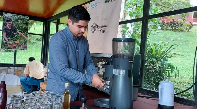 taza, excelencia, nicaragua, certame, cafe, nicaragua, evento, matagalpa