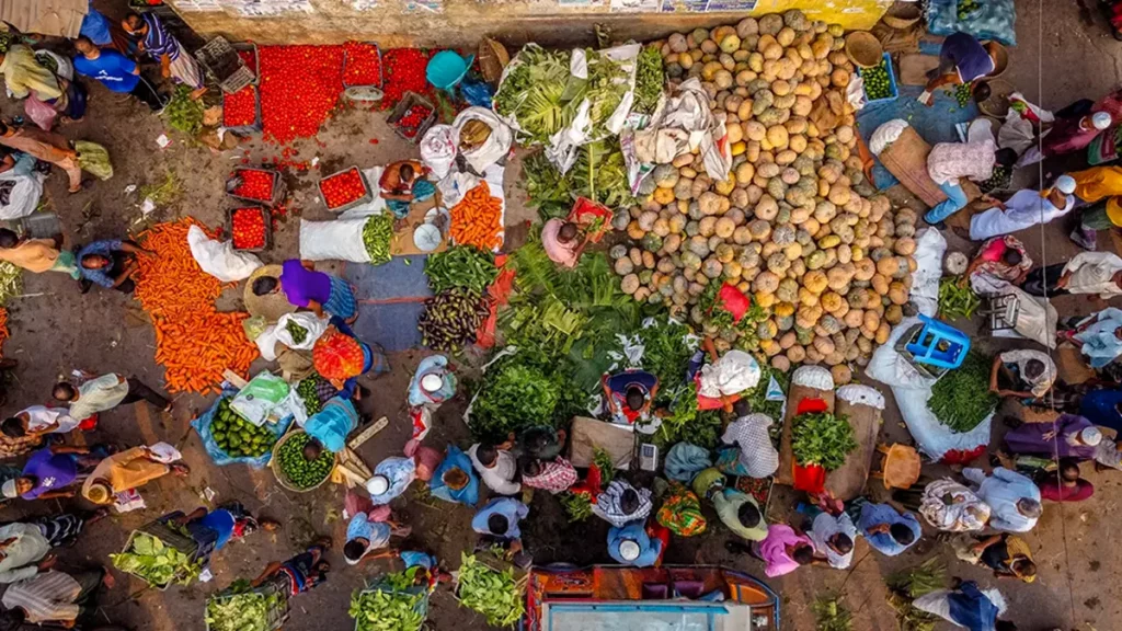 habitantes, tierra, ocho, mil, millones, tierra, mundo