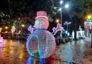 enatrel, decoraciones, diciembre, managua,