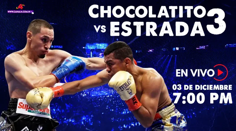 chocolatito, roman gonzalez, gallo estrada, francisco gallo estrada, pelea, boxeo,