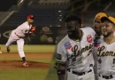 beisbol, Leonjes, tigres, Bóer, Tren, equipos, juegos, partidos, triunfo, Indios, carreras,