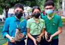 siembra de arboles, aire puro, managua, nicaragua, estudiantes,