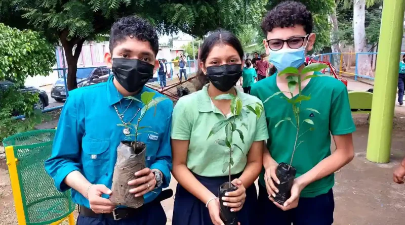 siembra de arboles, aire puro, managua, nicaragua, estudiantes,