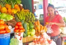 producción, avanza, capacitación, estrategias, productivas, Nicaragua, tácticas, sanidad, agrícola,