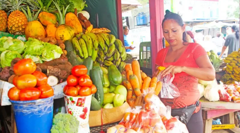 producción, avanza, capacitación, estrategias, productivas, Nicaragua, tácticas, sanidad, agrícola,