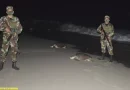 frente sandinista, rivas, tortugas marinas, refugio de vida silvestre, la flor,
