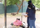 ejército de nicaragua, ciudadanos, traslado ilegal, productos marinos