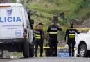 homicidio, asesinato, narcotráfico