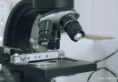 masaya, laboratorio gtenetico, mejoramiento porcino, meffca, granja de cerdos nicaragua,