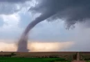 tornado, misissippi, muertos