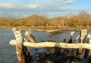 clima, pronostica, INETER, pronostico, lluvias, Regiones Caribe, nublado, vientos, Nicaragua,