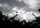 clima, martes, lluvias, Regiones, Caribe, Central, INETER, Pronostica, informó,
