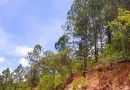 clima, martes, Nicaragua, estará, ambiente, caluroso, vientos, fuertes, moderados, INETER, pronostica,