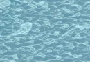 espermatozoides, esperma, disminución, redujeron, redujo, concentración, causas, razones, motivos, células, reproductivas, semen, testículos,