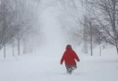 nieve, estados unidos, clima, mal tiempo, cortes de energia, muertos, frio,