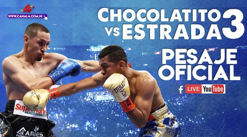 canal 4, chocolate, chocolatito, gallo estrada, pesaje oficial,