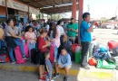 ciudadanos, viajan, departamentos, hacia, pasar, navidad, familia, terminal, buses, abarrotada, llenas, afluencia, personas,