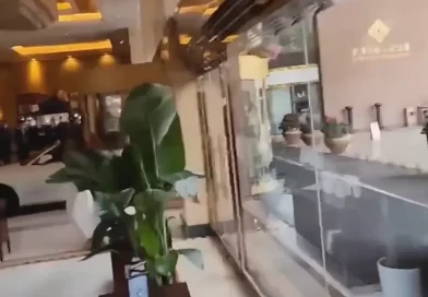 shanghai, china, video, huesped, eufórico, molesto, robo