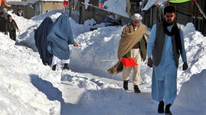 frio, afganistan, muerto, temperatura