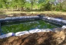 tilapia, masaya, nicaragua, mefcca,