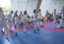 alcaldia managua, academia taekwondo, academia alcaldia,
