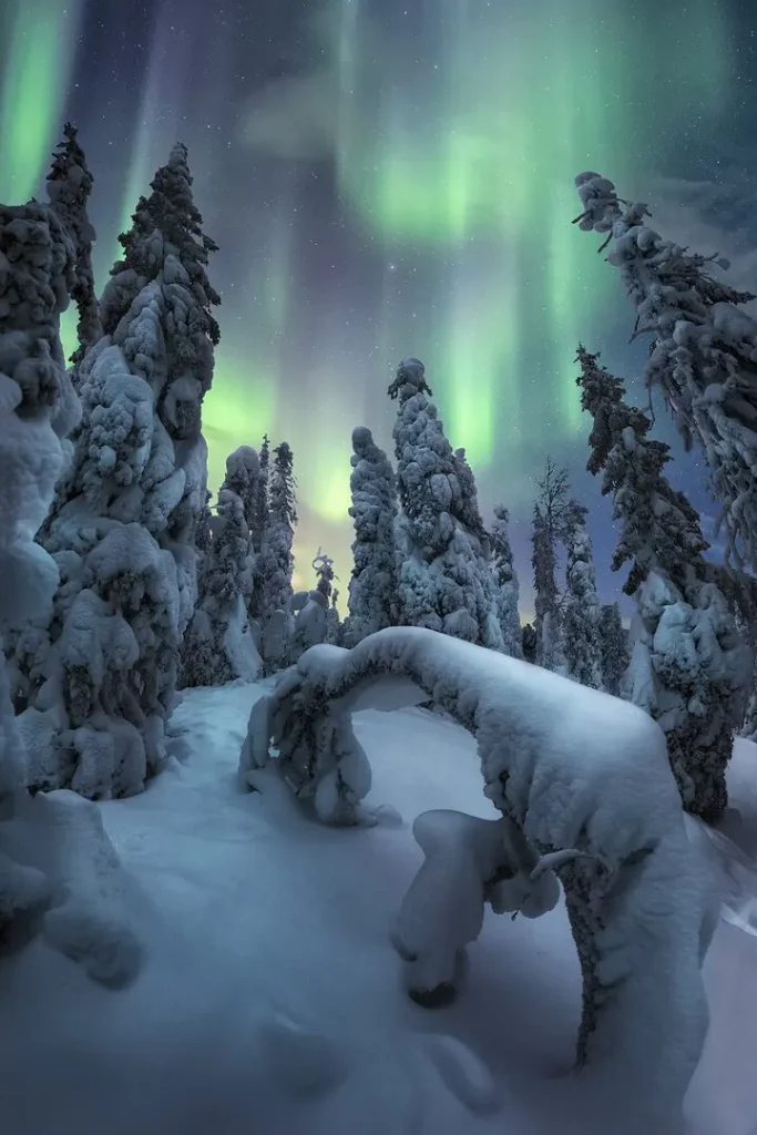 aurora, boreal, polar, fotos, premio, mejores, bonitas