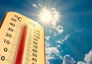 olas, calor, cientificos, predicen, mucho, peores, 2022. año, 2023, cálido, temperaturas, registros, mundial, aumento, anterior, crisis, climática, fenómeno, Niño, Niña, calentamiento, precedentes,