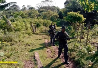 Imagen Cortesía / Efectivos del Ejército de Nicaragua en caminata de adiestramiento, ejercito de nicaragua, mateare, managua,