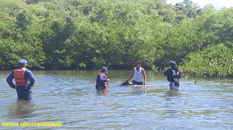 fuerza naval, ejercito de nicaragua, el viejo,