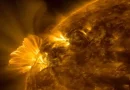 academia, ciencia, rusia, sol, llama, cientificos,