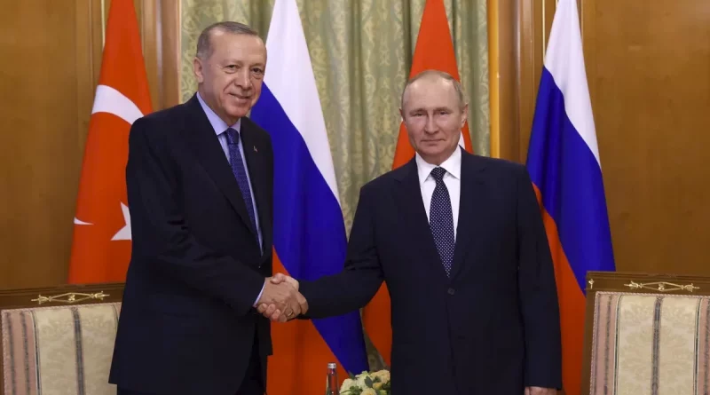 rusia, turquia, putin, erdogan, centro distribucion, gas,