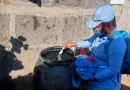 minsa, nicaragua, zabncudos, brigadiistas, abate, ministerio de salud, minsa,