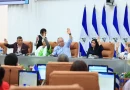 asamblea, nacional, ley, especial, perdida, condicion, nacional, nicaraguense