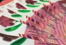 banco, central, nicaragua, tasa referencia, monetaria